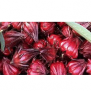 resources of Hibiscus exporters