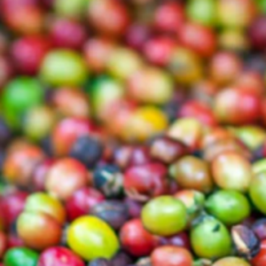 resources of Coffee exporters