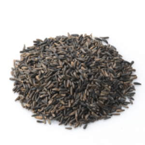 resources of Ethiopia Niger Seeds exporters