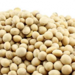resources of Soya Beans exporters