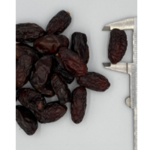 resources of Safawai Dates GradeÃ¢Â 1 exporters