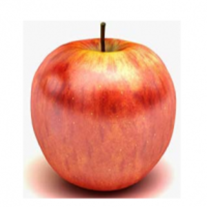 resources of Fuji Apple exporters