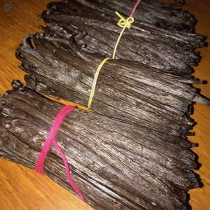 resources of Vanilla Tahitensis exporters