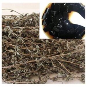 resources of Dried Black Grass Jelly exporters