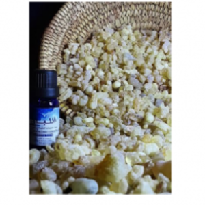 resources of Frankincense Oil exporters