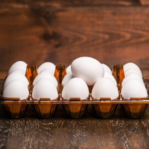 Duck Eggs Exporters, Wholesaler & Manufacturer | eximnext.com