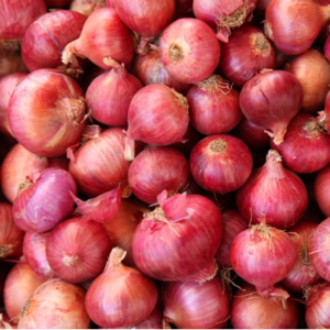Fresh Onion Exporters, Wholesaler & Manufacturer | eximnext.com