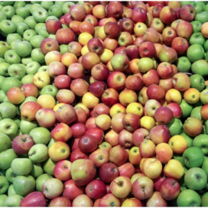 Apple Exporters, Wholesaler & Manufacturer | eximnext.com