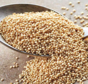 Amaranth Seeds Exporters, Wholesaler & Manufacturer | eximnext.com