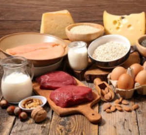 Animal By Products Exporters, Wholesaler & Manufacturer | eximnext.com