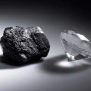 Carbon Exporters, Wholesaler & Manufacturer | eximnext.com