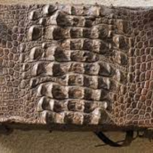 Crocodile Leather Exporters, Wholesaler & Manufacturer | eximnext.com