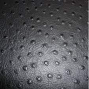 Emu Leather Exporters, Wholesaler & Manufacturer | eximnext.com