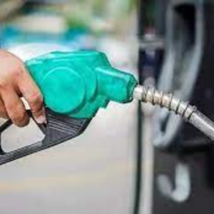 Petrol Exporters, Wholesaler & Manufacturer | eximnext.com