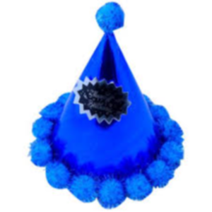 Party Caps and Hats Exporters, Wholesaler & Manufacturer | eximnext.com