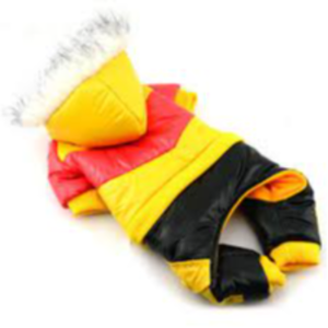 Dog Clothing & Strapping Exporters, Wholesaler & Manufacturer | eximnext.com