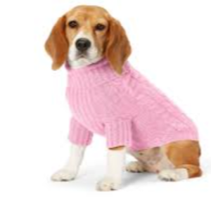 Pet Clothings Exporters, Wholesaler & Manufacturer | eximnext.com