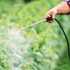 Pesticides Exporters, Wholesaler & Manufacturer | eximnext.com