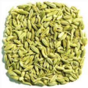 Fennel Seeds Exporters, Wholesaler & Manufacturer | eximnext.com