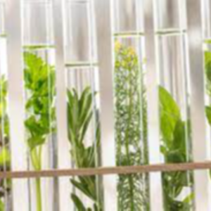 Aromatic Chemicals Exporters, Wholesaler & Manufacturer | eximnext.com