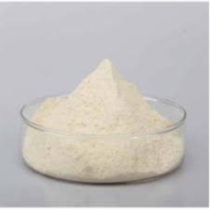 Gluten Powder Exporters, Wholesaler & Manufacturer | eximnext.com