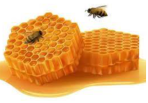 Bee Honey Exporters, Wholesaler & Manufacturer | eximnext.com