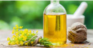 Canola Oil Exporters, Wholesaler & Manufacturer | eximnext.com