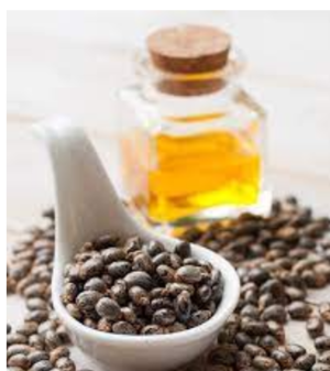 Castor Seed Oil Exporters, Wholesaler & Manufacturer | eximnext.com