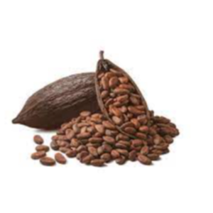 Cocoa Beans Exporters, Wholesaler & Manufacturer | eximnext.com