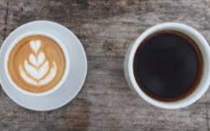 Coffee Exporters, Wholesaler & Manufacturer | eximnext.com