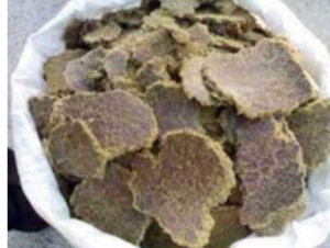 Cotton Seed Oil Cake Exporters, Wholesaler & Manufacturer | eximnext.com