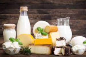Dairy & Milk Products Exporters, Wholesaler & Manufacturer | eximnext.com