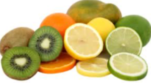 Fruit Slices Exporters, Wholesaler & Manufacturer | eximnext.com