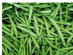 Guar Gum Exporters, Wholesaler & Manufacturer | eximnext.com