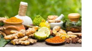 Herbal Products Exporters, Wholesaler & Manufacturer | eximnext.com