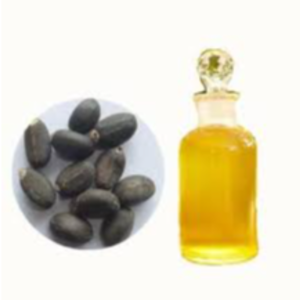 Jatropha Oil Exporters, Wholesaler & Manufacturer | eximnext.com