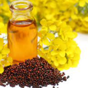 Mustard Oil Exporters, Wholesaler & Manufacturer | eximnext.com