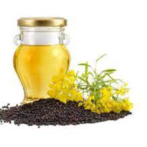 Rapeseed Oil Exporters, Wholesaler & Manufacturer | eximnext.com