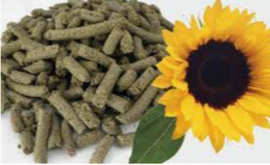 Sunflower Meal Exporters, Wholesaler & Manufacturer | eximnext.com