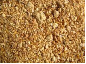 Soybean Meal Exporters, Wholesaler & Manufacturer | eximnext.com