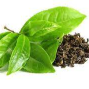 Tea Extracts Exporters, Wholesaler & Manufacturer | eximnext.com