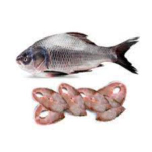 Fresh Katla Fish Exporters, Wholesaler & Manufacturer | eximnext.com