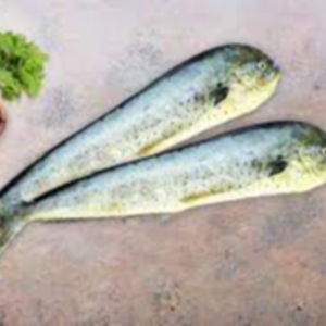 Fresh Mahi Mahi Fish Exporters, Wholesaler & Manufacturer | eximnext.com