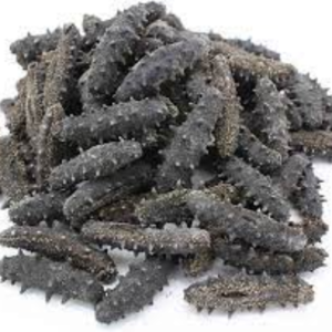 Frozen Sea Cucumber Exporters, Wholesaler & Manufacturer | eximnext.com