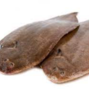 Fresh Sole Fish Exporters, Wholesaler & Manufacturer | eximnext.com