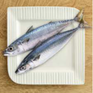 Fresh Anchovy Fish Exporters, Wholesaler & Manufacturer | eximnext.com