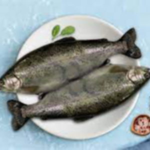 Fresh Trout Fish Exporters, Wholesaler & Manufacturer | eximnext.com