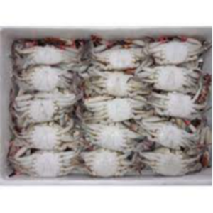 Frozen Crabs Exporters, Wholesaler & Manufacturer | eximnext.com