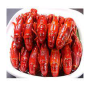 Frozen Crayfish Exporters, Wholesaler & Manufacturer | eximnext.com
