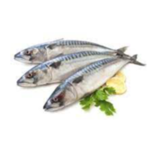 Frozen Fish Exporters, Wholesaler & Manufacturer | eximnext.com
